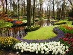 keukenhof garden